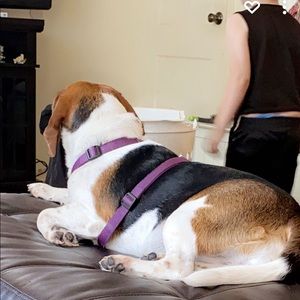 Meet your Posher, Harleigh